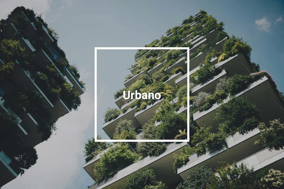 urbano-top